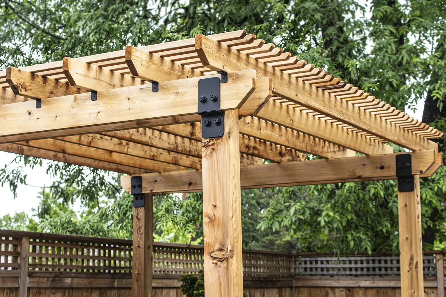 Wooden pergola frame under construction with black metal brackets, in a backyard with green trees and a wooden fence.