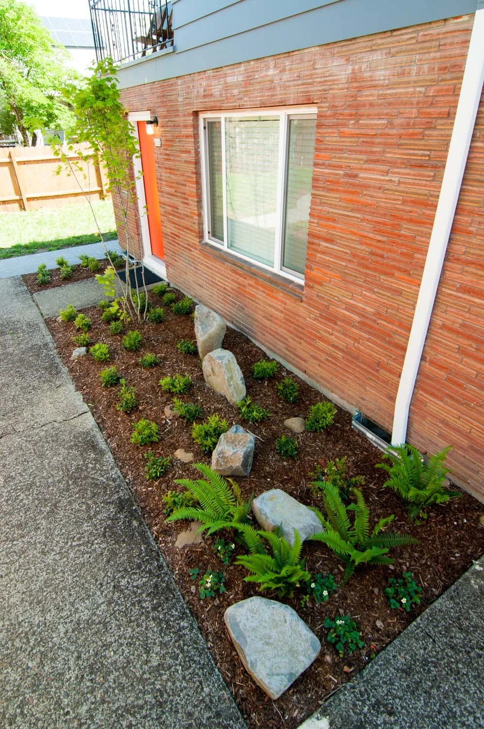 Native-plant-Strip.jpg