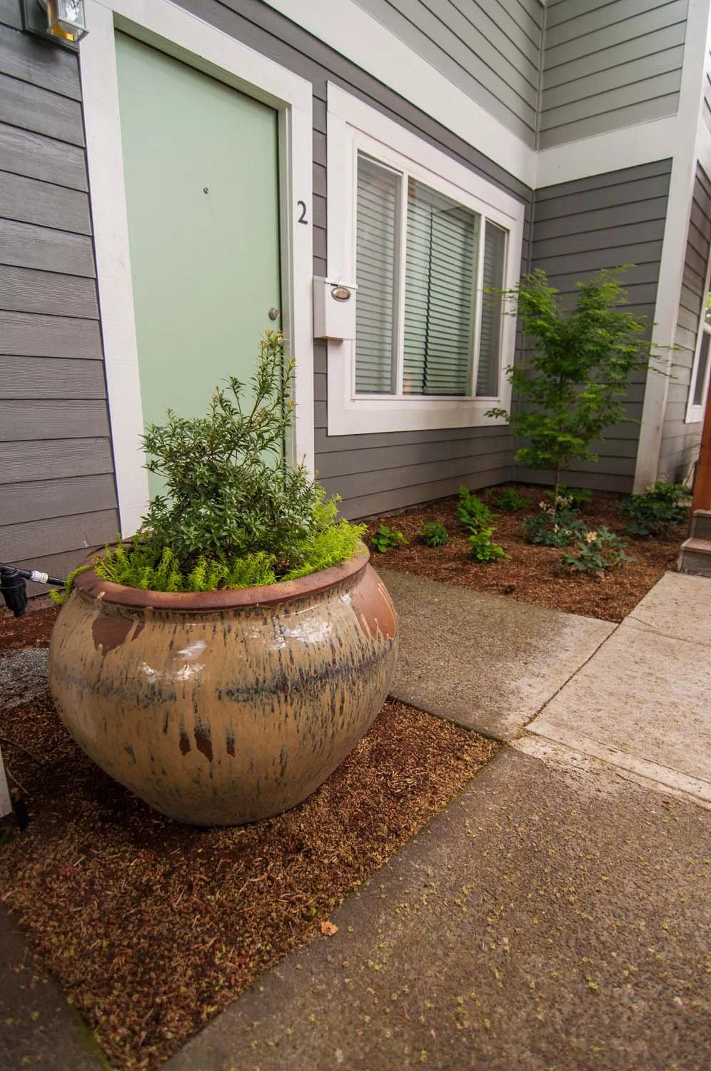 Condo-Potted-Plants.jpg