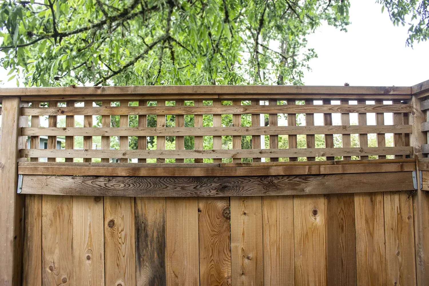 Photo of a wooden fence with a lattice design on top, set against a background of green trees and a bright sky.