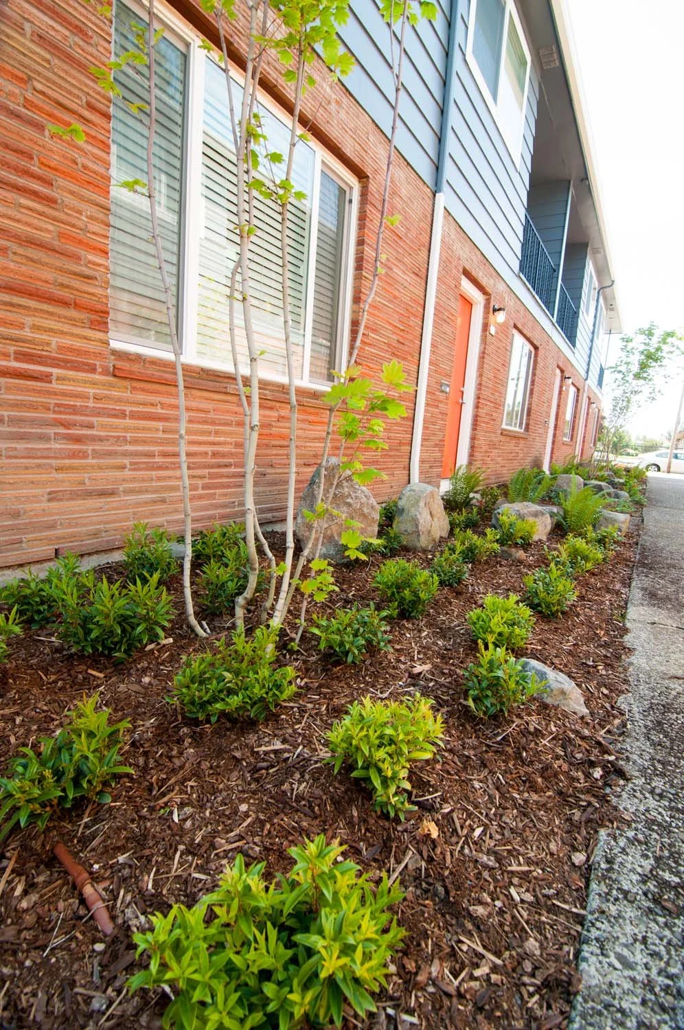 Low-maintenance-garden.jpg