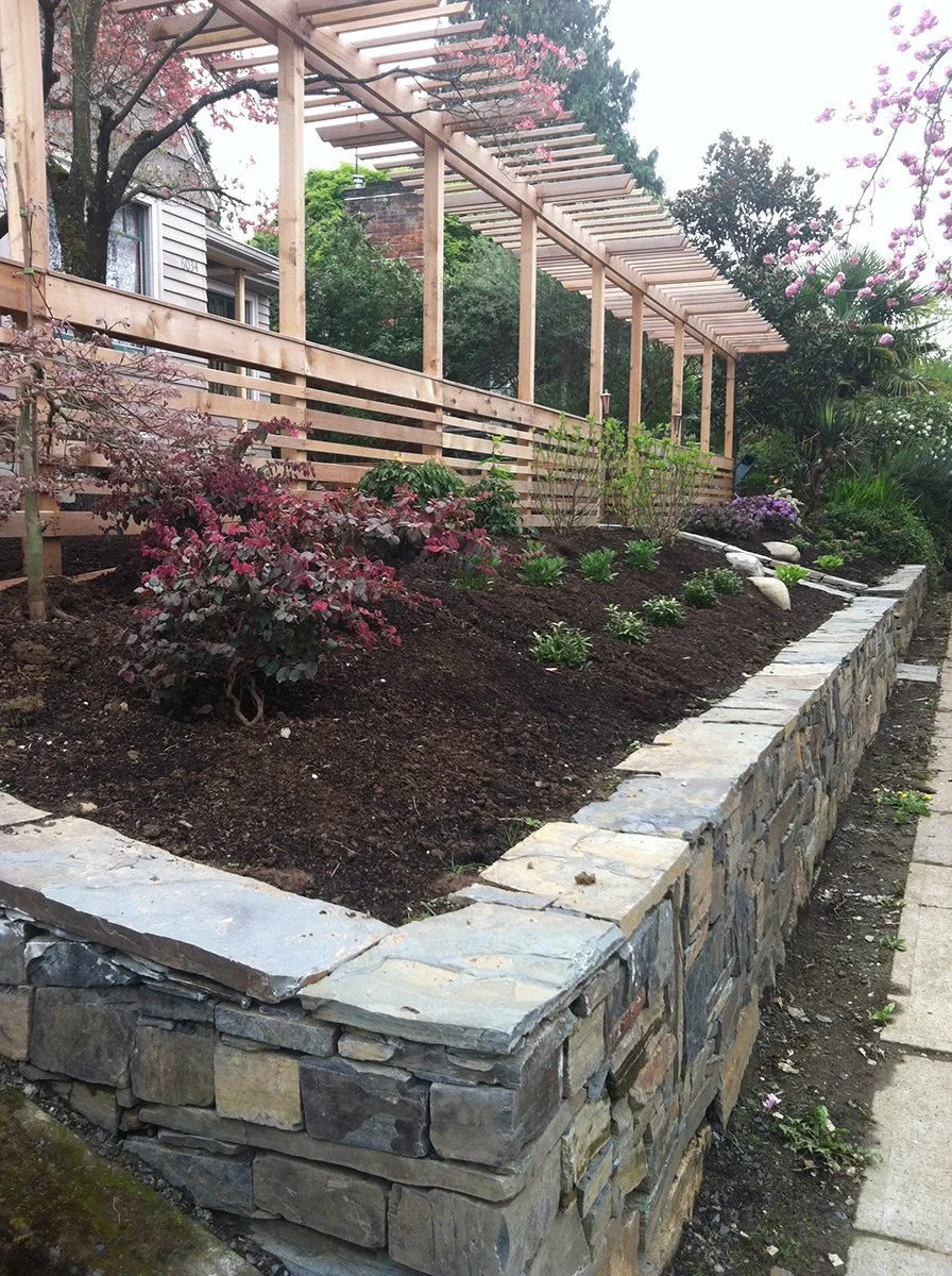 A landscaped garden with a stone retaining wall, newly planted shrubs and small plants, and a wooden pergola structure above, with flowering trees and a house in the background.