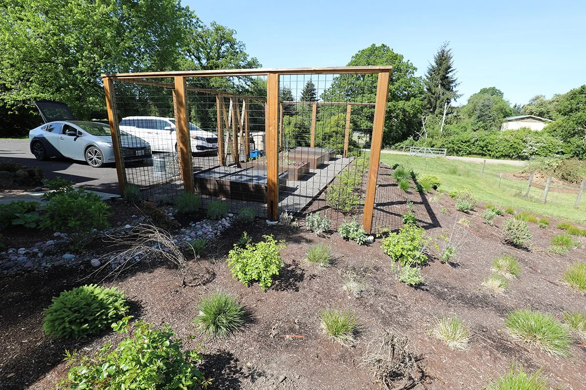 A garden area with small plants and shrubs, a wooden frame structure with wire fencing, and a parking lot with cars in the background.
