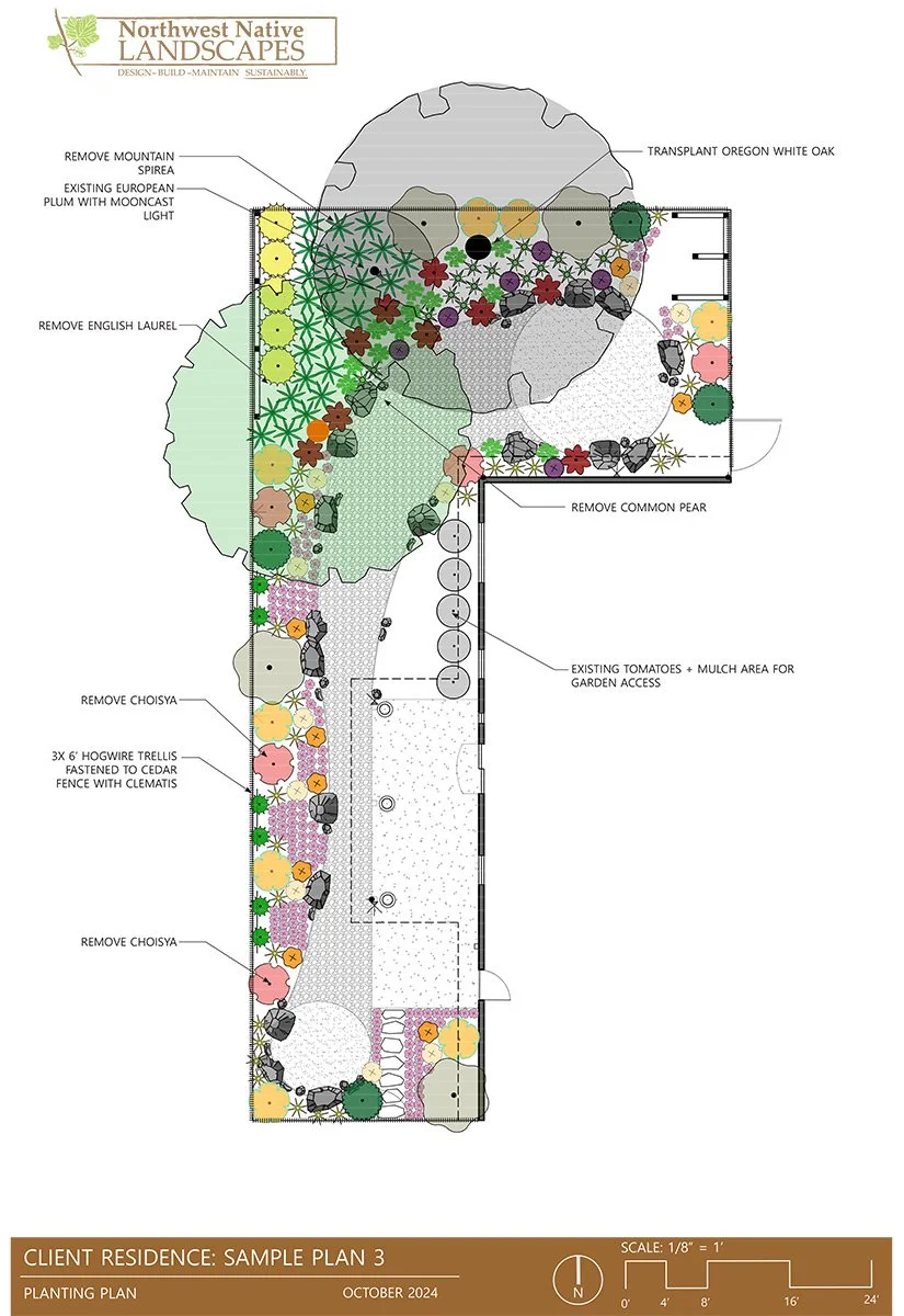 Landscape design plan for a residential yard, including various plants, trees, and garden features with labels indicating removal of certain plants and areas for garden access, created by Northwest Native Landscapes.