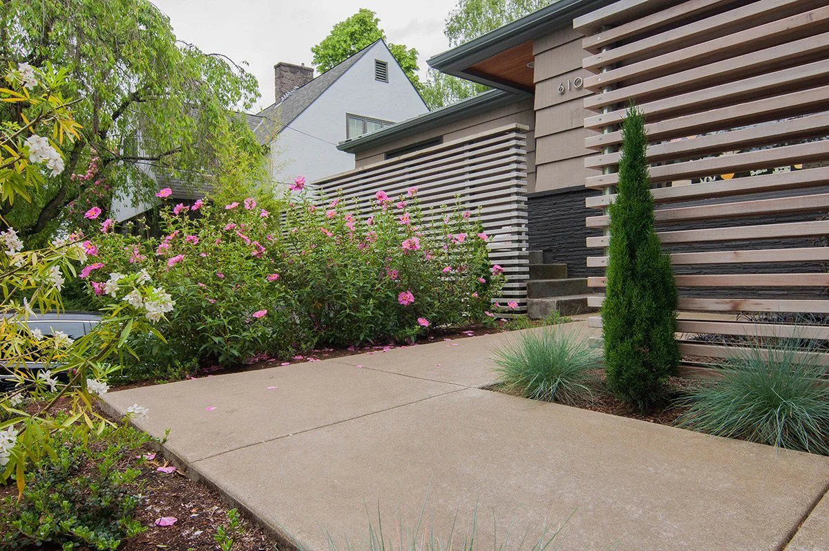 Front yard with concrete walkway, pink and white flowering bushes, green shrubs, and a modern house with horizontal wooden slats on the exterior