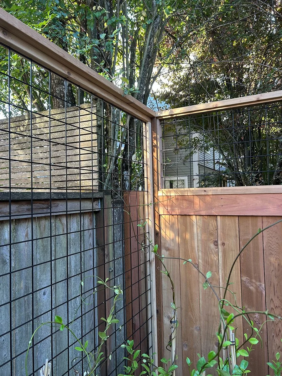 A corner of a fenced backyard with wooden and wire fencing, surrounded by green trees and plants.