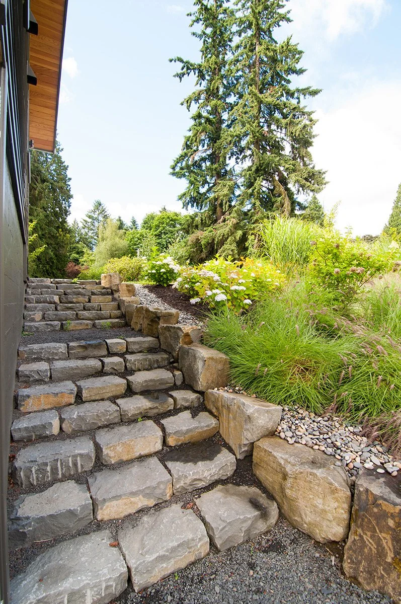 A stone staircase leading up through a landscaped garden with various green plants and trees.