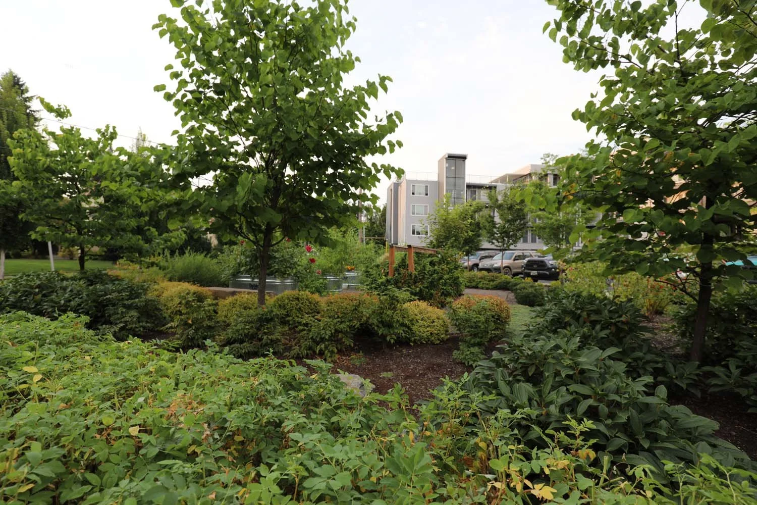 Lush-plantings.jpg