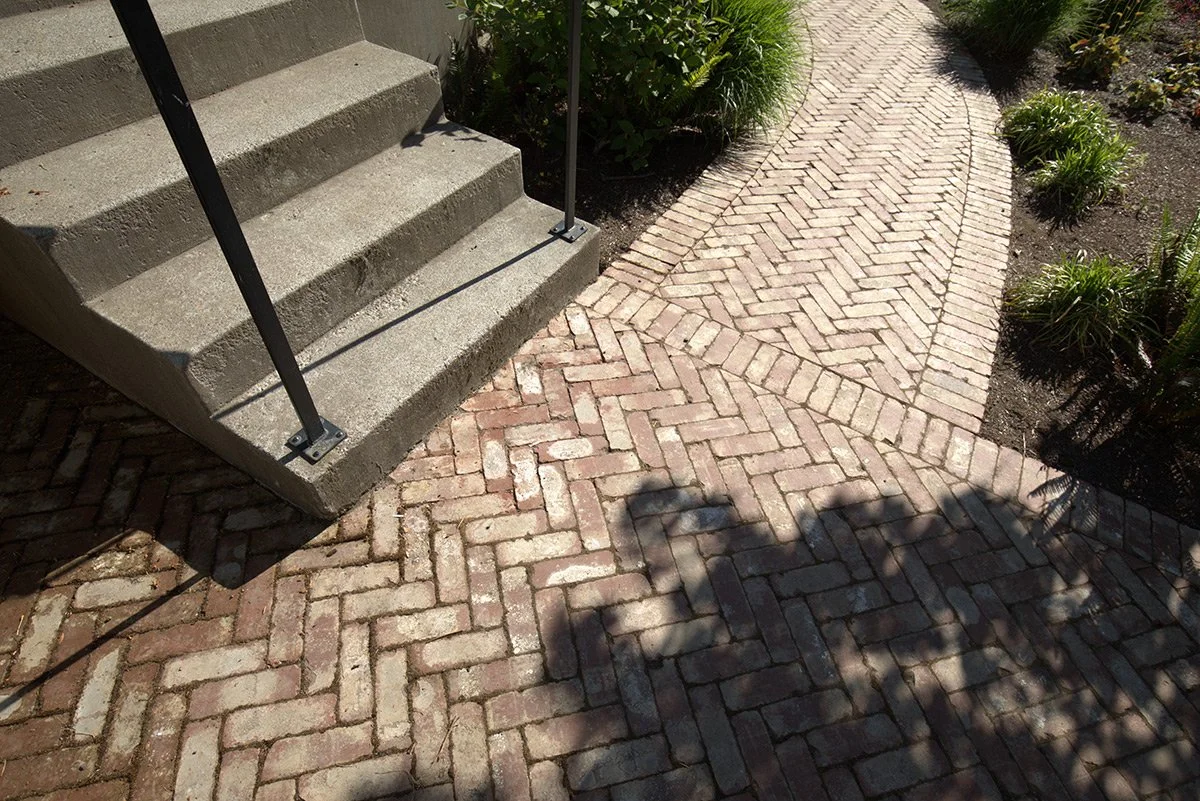 Concrete steps with metal railing beside a brick pathway in a garden with plants.