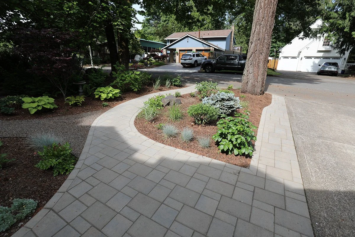 A landscaped front yard with a curved walkway, various green plants, and trees, near a driveway and houses in the background.