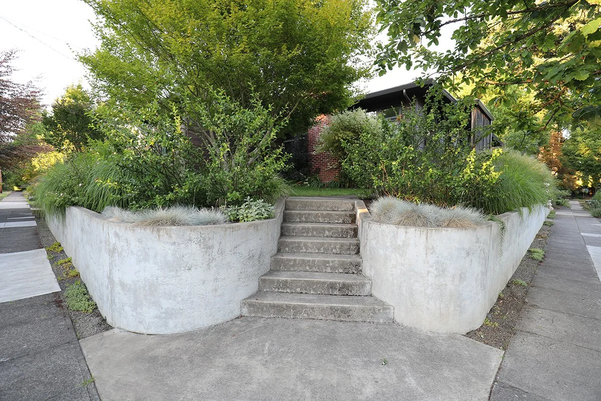 Concrete stairs lead up to a small yard with lush green plants and trees, surrounded by high concrete walls on a sidewalk in an urban neighborhood.