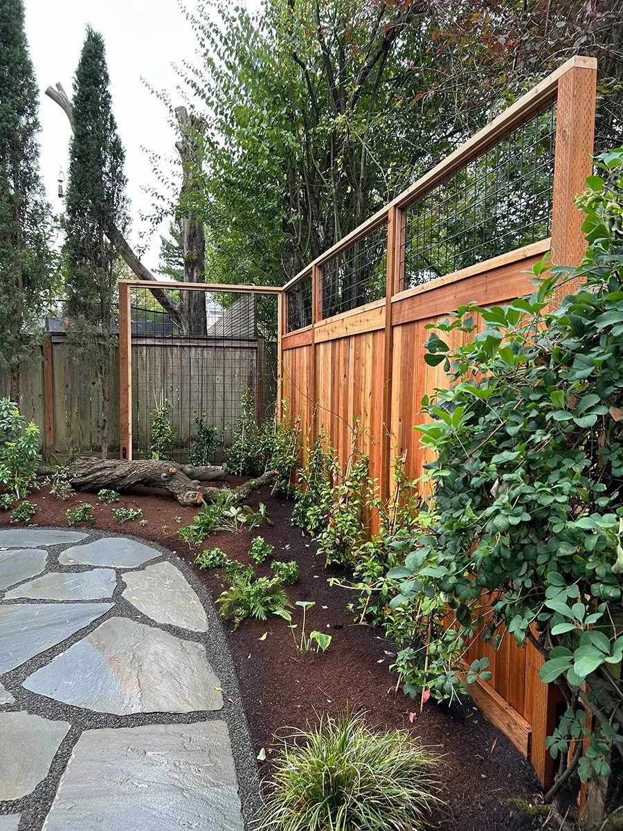 A backyard garden with a newly installed wooden and wire fence, various green plants and shrubs along the soil border, and a stone paved pathway.