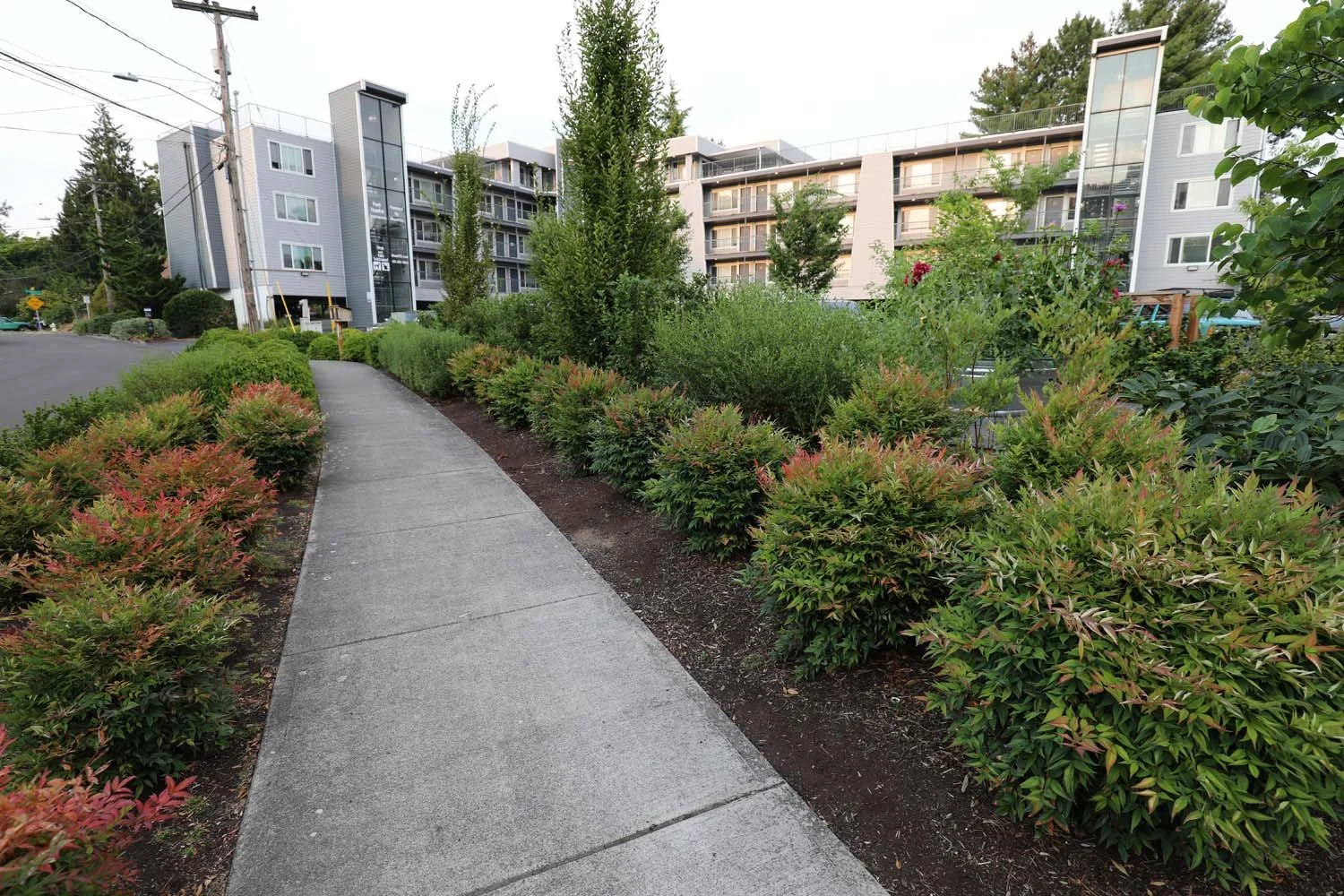 Apartment-landscape.jpg
