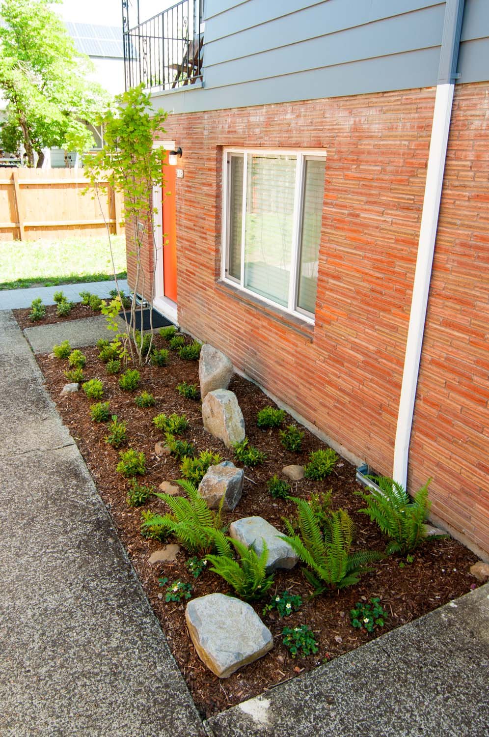 Apartment-Native-Plants.jpg