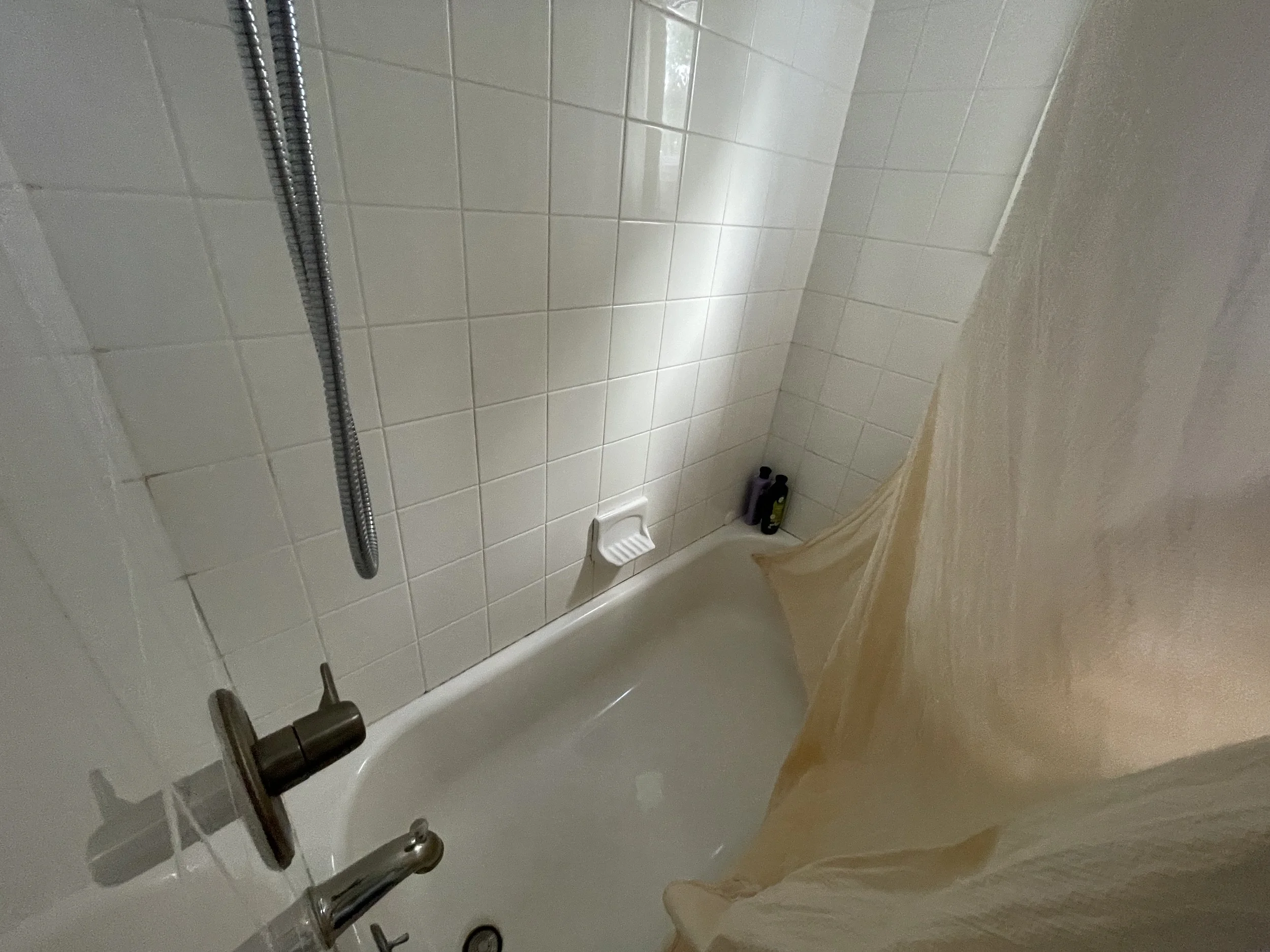 Before - Bathtub.JPG