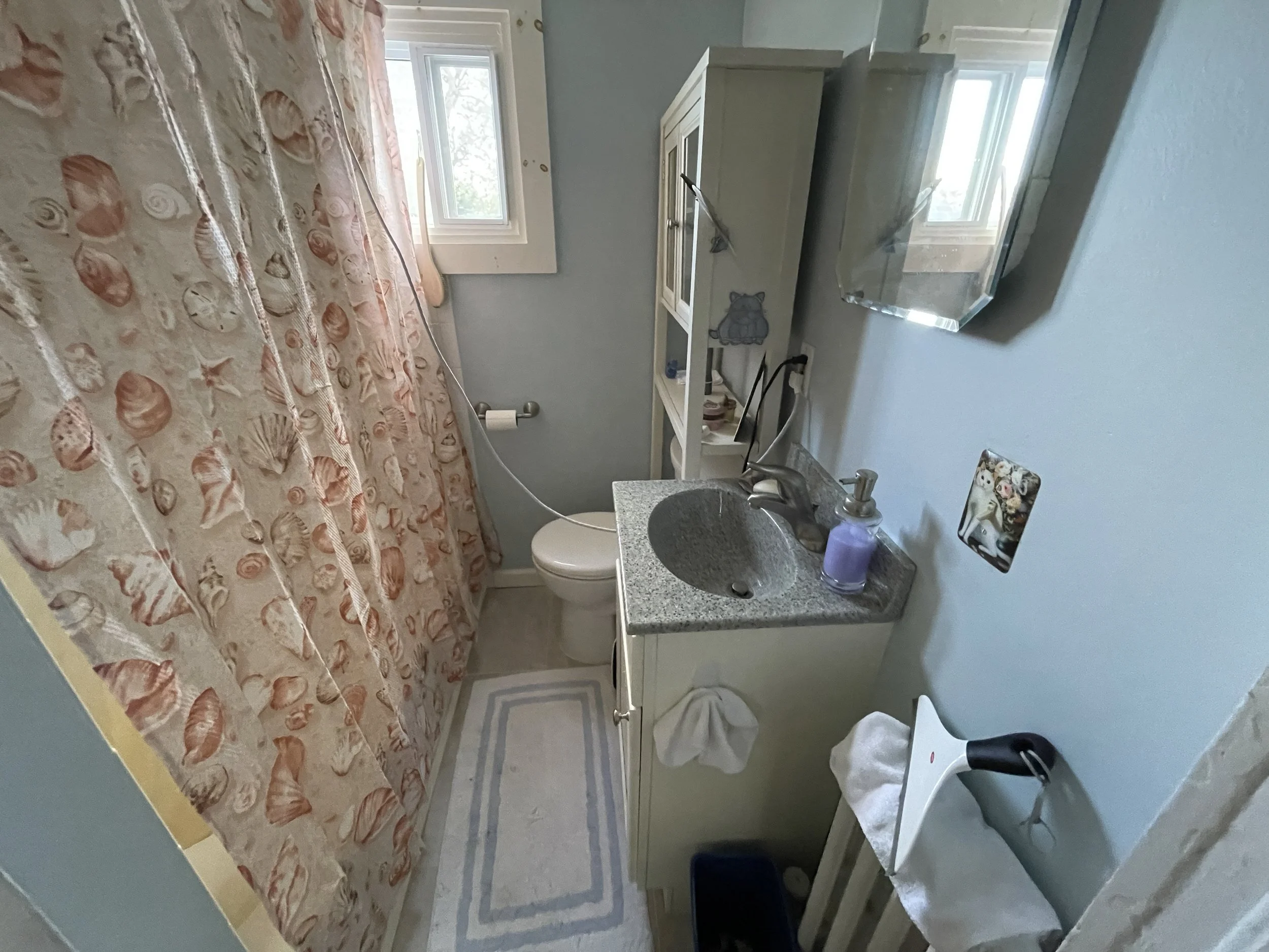 Before - Toilet.JPG