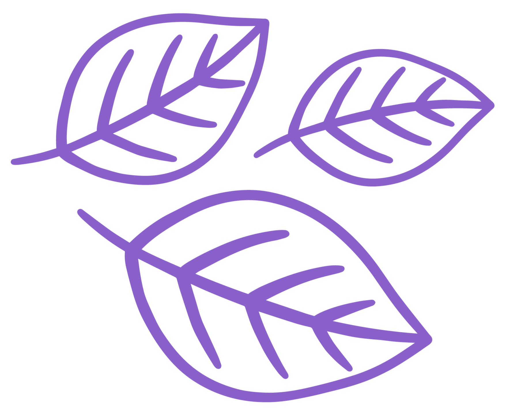 Outline of three purple leaves with prominent veins, arranged in a pattern on a black background.
