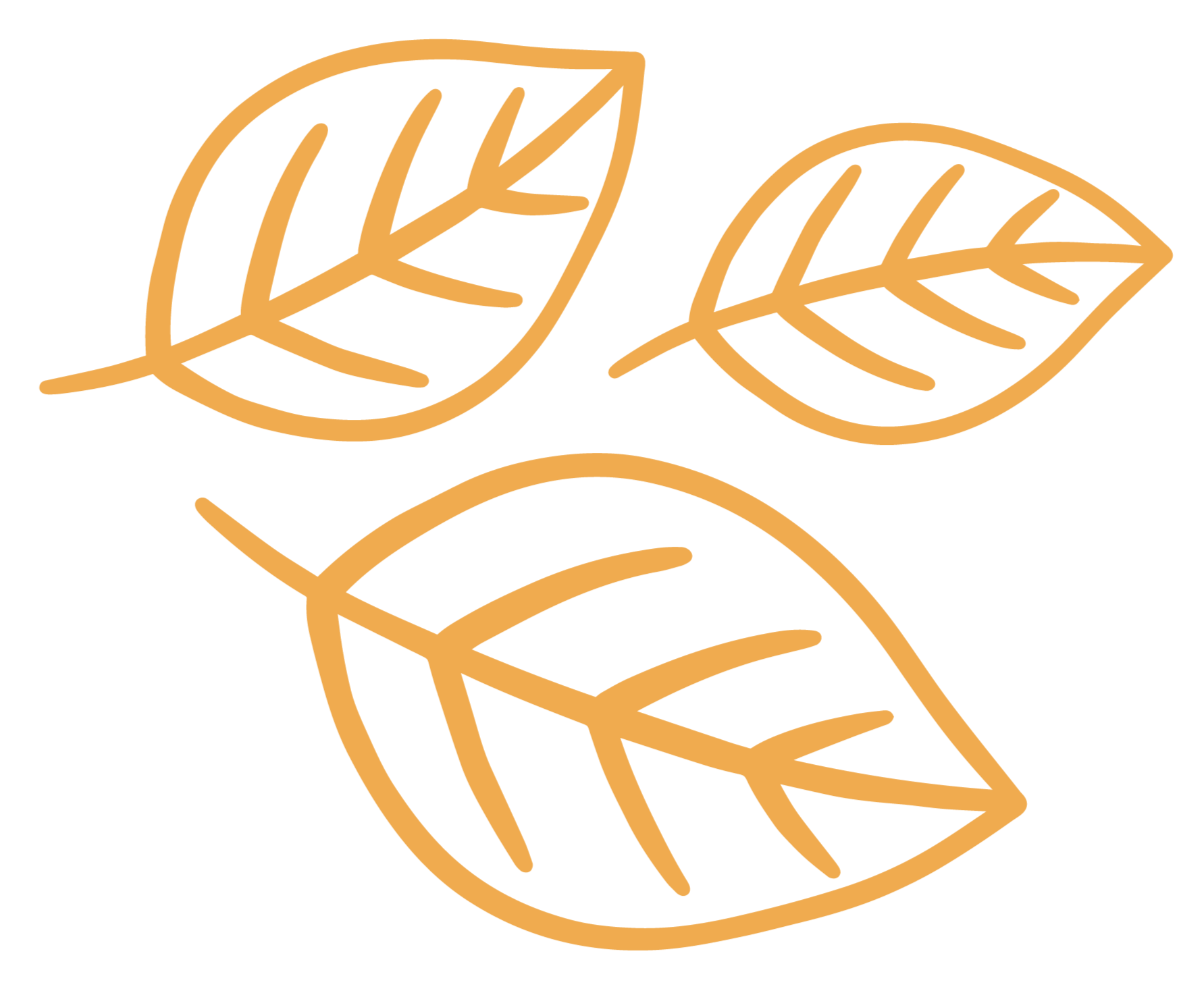 Illustration of three orange leaves with vein details on a black background.