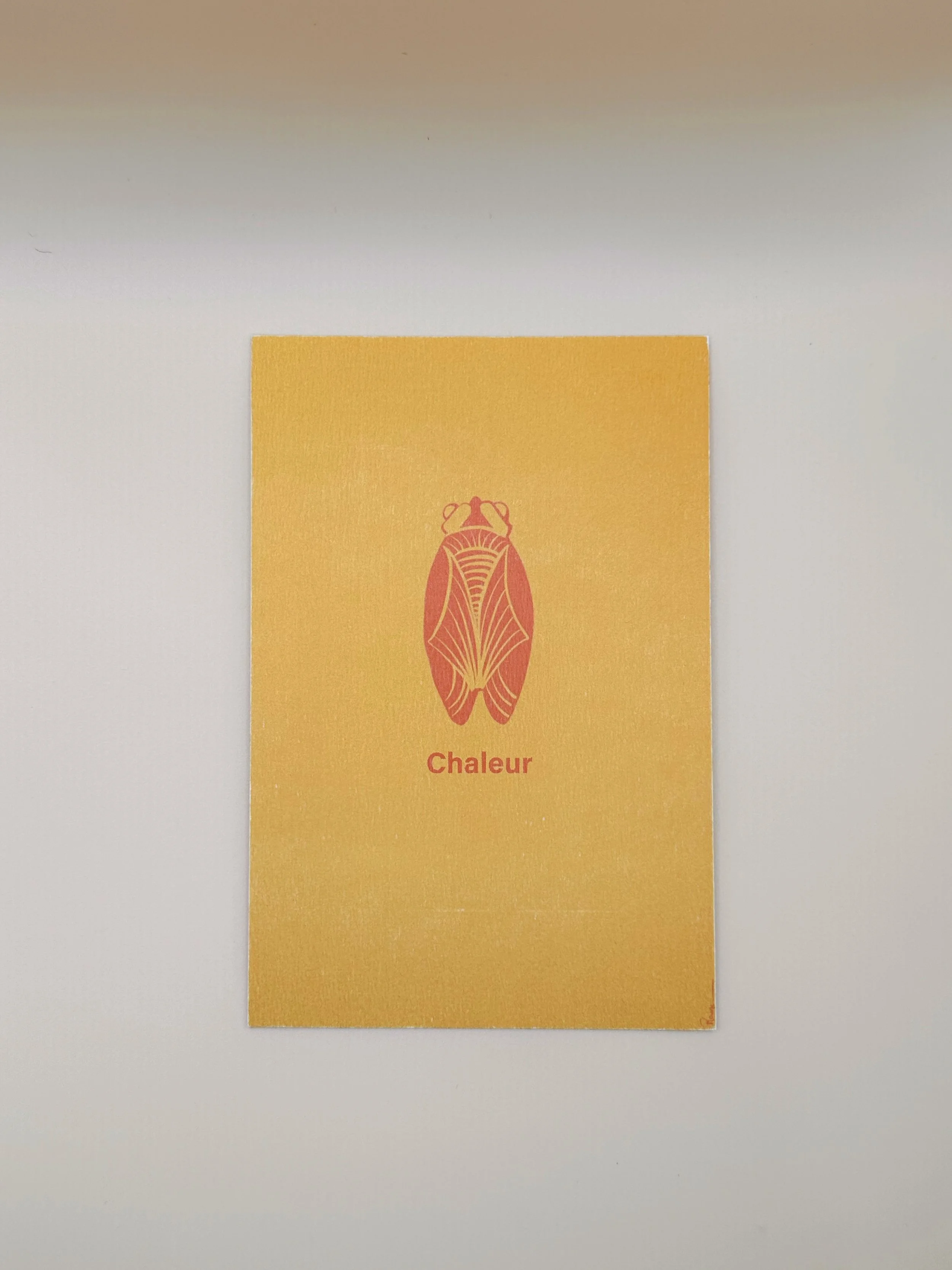 Chaleur et chant des cigales