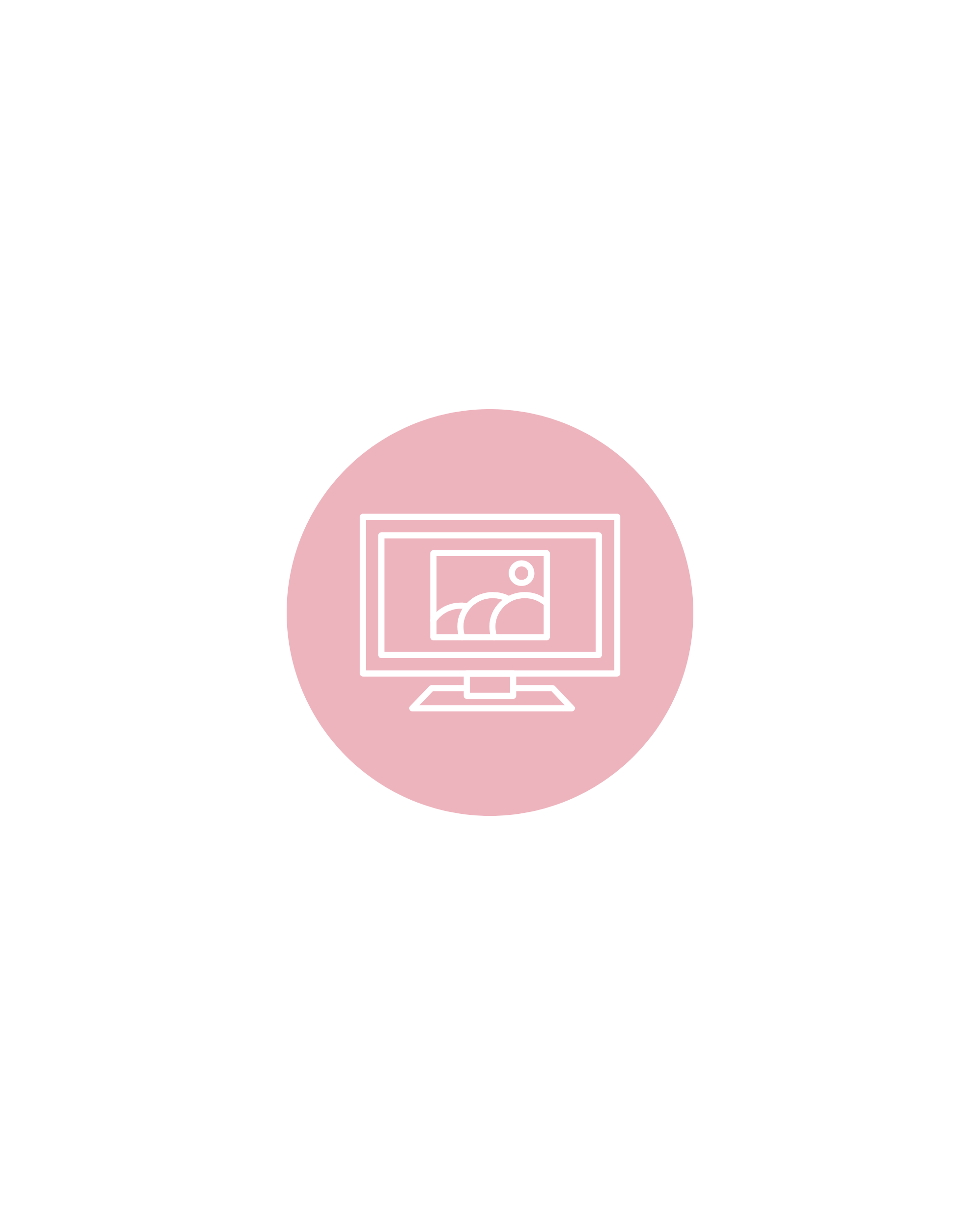 Icon of a computer monitor with a picture displayed on the screen, set within a pink circle.