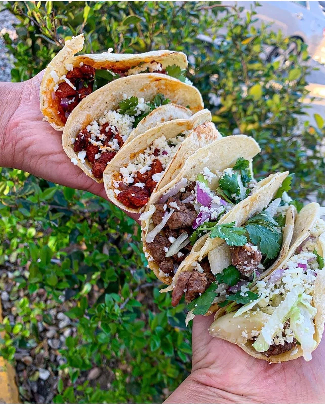 El Guajillo Food-4.jpg