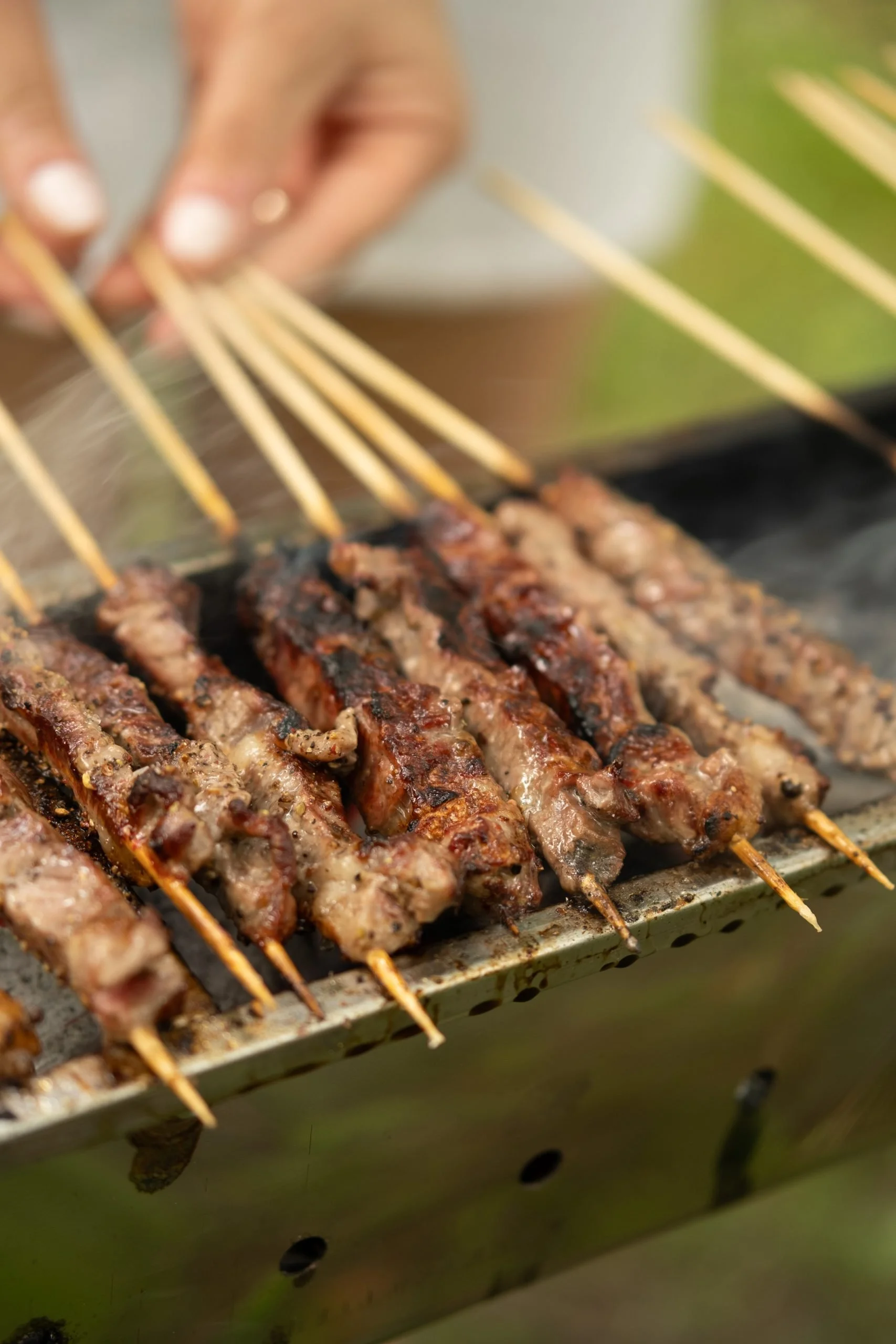 Meat on Sticks_Food1.jpg