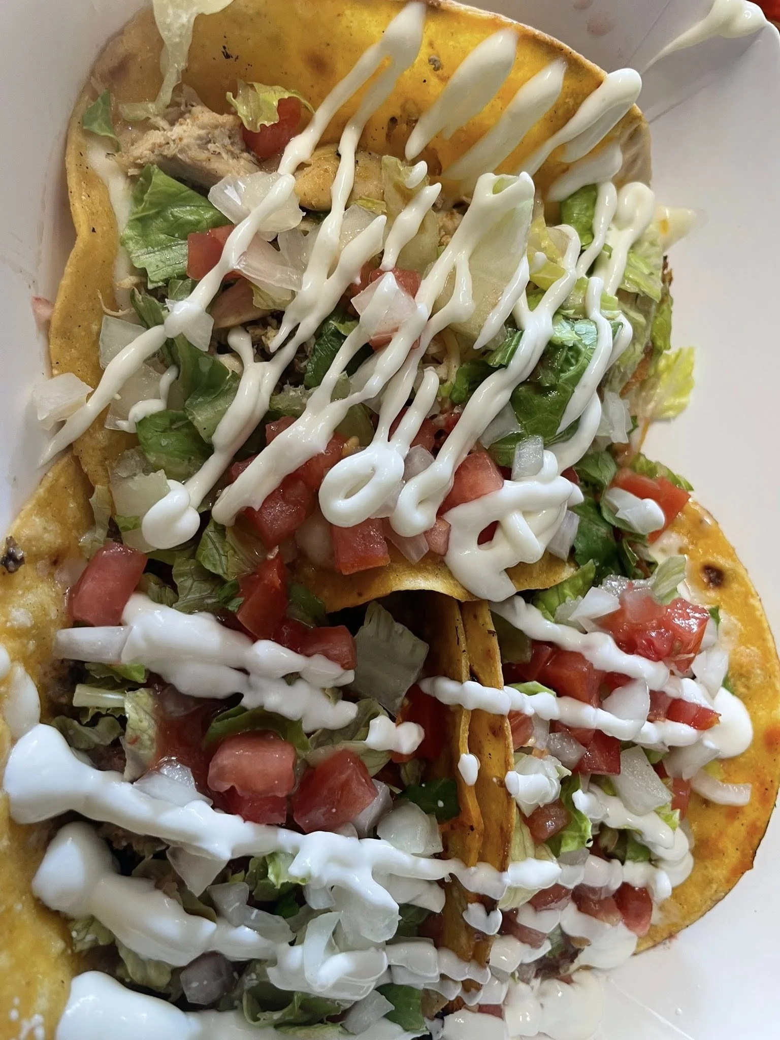 Thee Taco Dude Photo 1.jpg