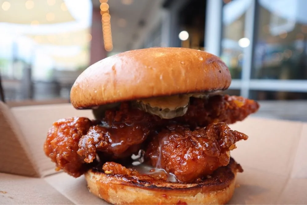 Tiny Biscuit Saucy Chicken 1.jpg