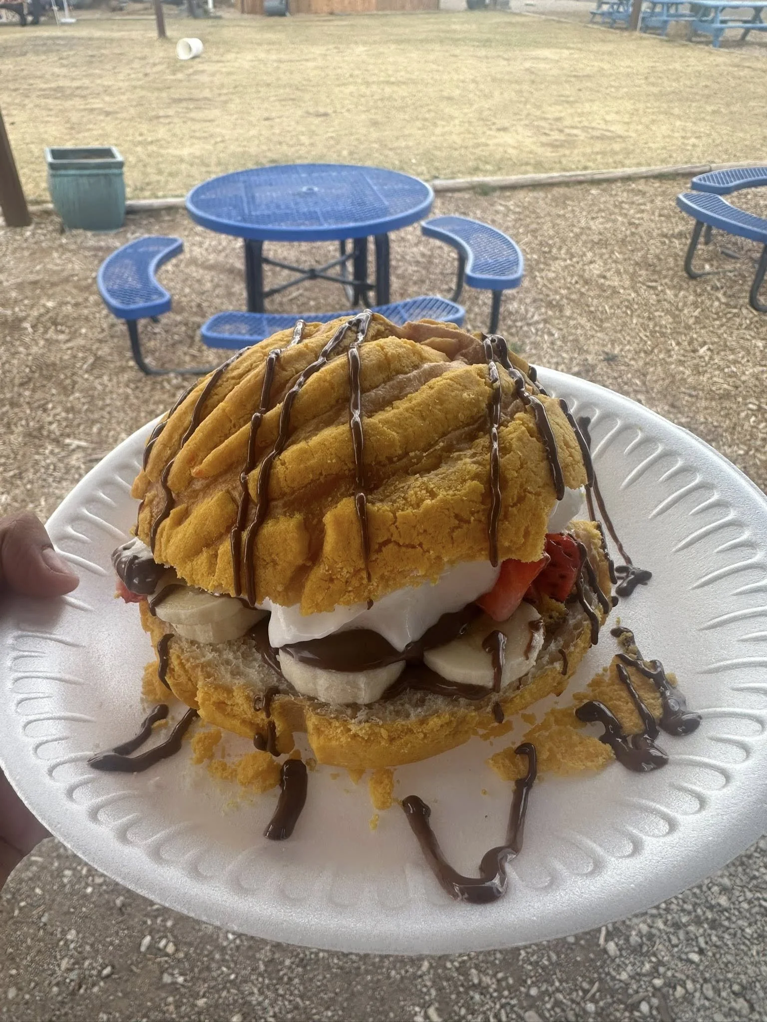 A+ Creperie sandwich 1.jpg