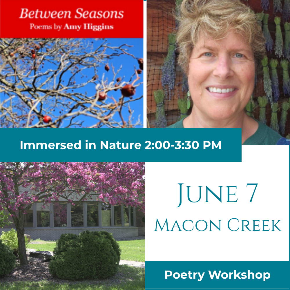 Immersed in Nature: A Poetry Writing Workshop