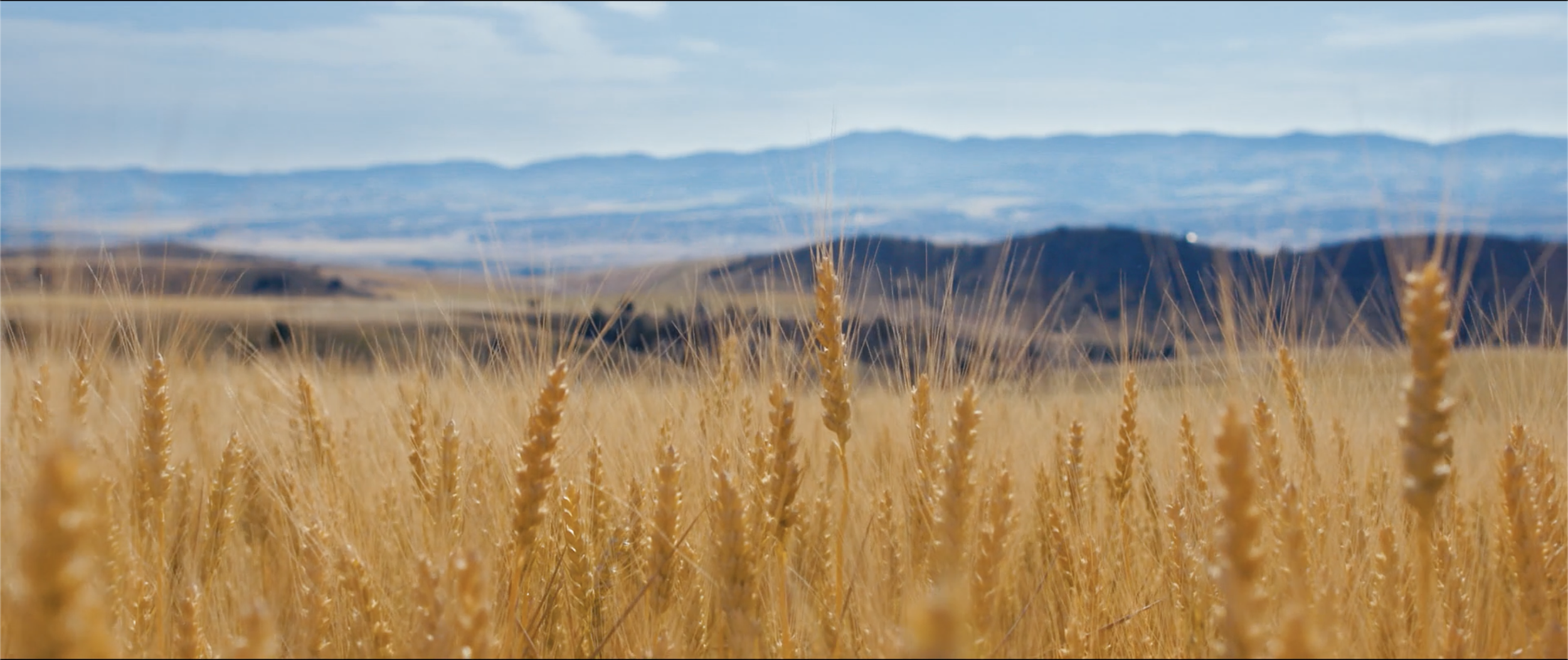 Screenshot 2025-11-19 at 12.24.14 PM.png