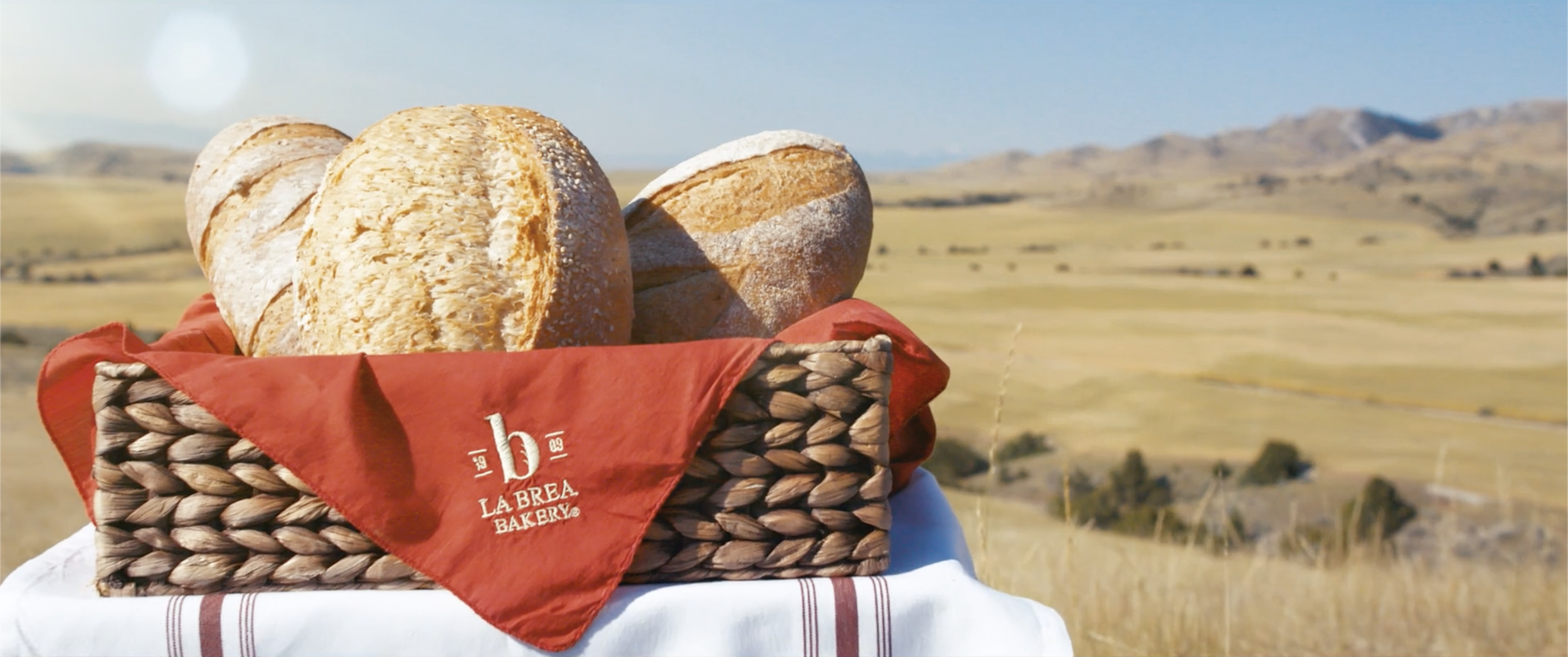 Screenshot 2025-11-19 at 12.23.42 PM.png