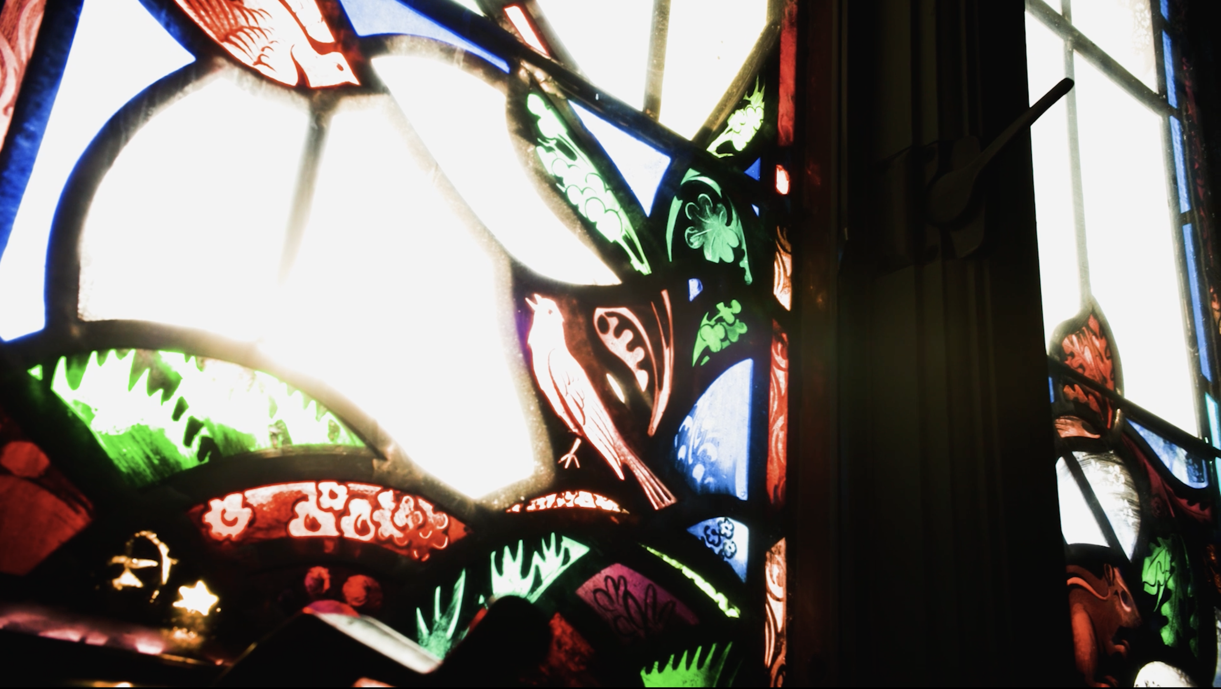 Screenshot 2025-11-19 at 11.09.29 AM.png