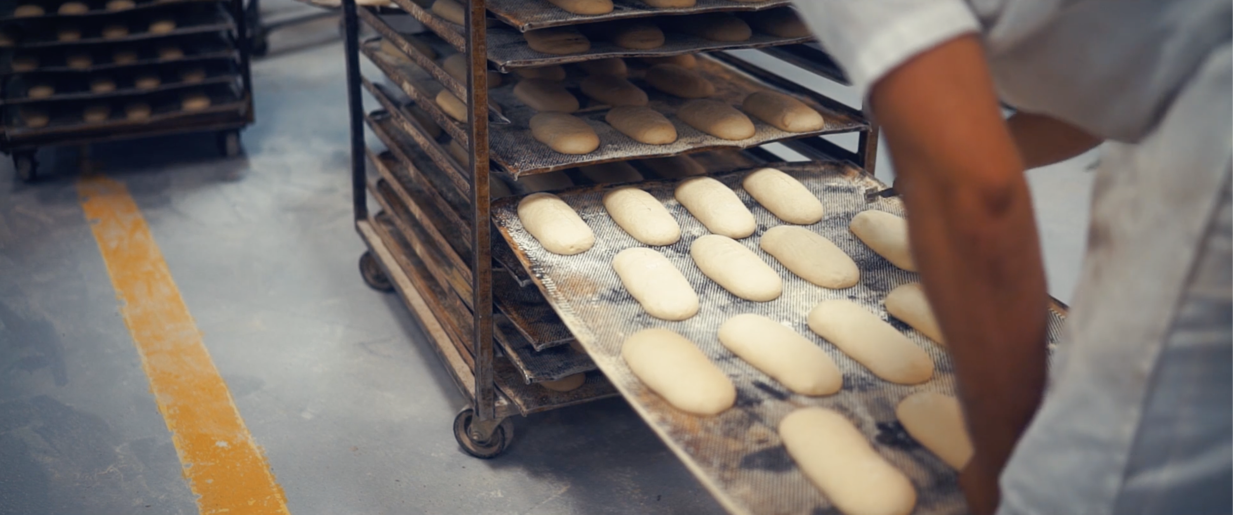 Screenshot 2025-11-19 at 12.25.28 PM.png