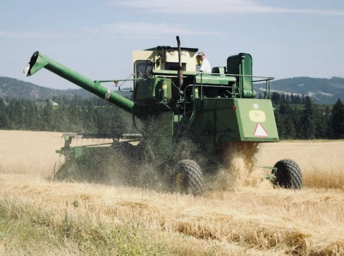 John Deere combine harvester working in a wheat field with a person in the cab