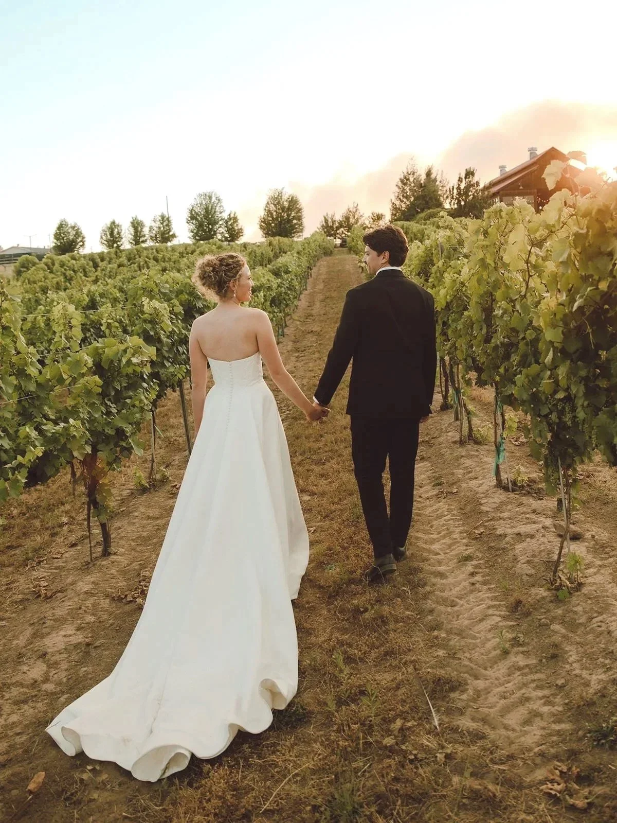 A bride and groom walking hand in hand through a vineyard at sunset, with green grapevines on each side and a barn in the background.
