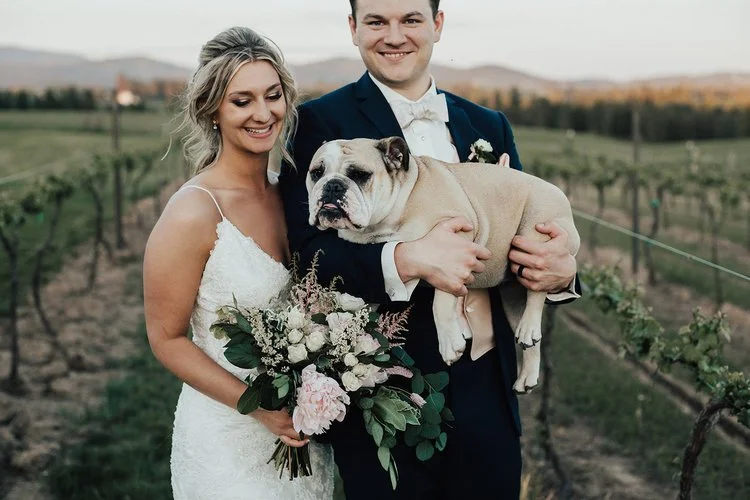 Bride and groom in wedding attire standing in a vineyard, holding a bulldog, with the bride holding a bouquet of flowers.
