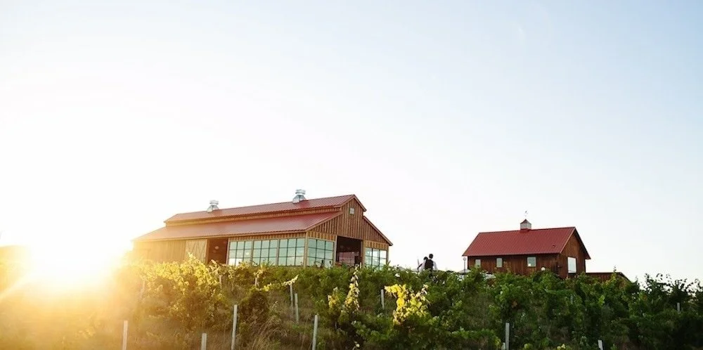 barns-vineyards.jpg