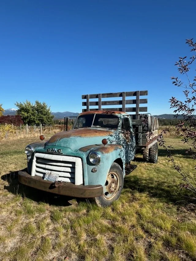 An old, rusty GMC truck with a flatbed sits on a grassy field under a clear blue sky, with trees and mountains in the background.