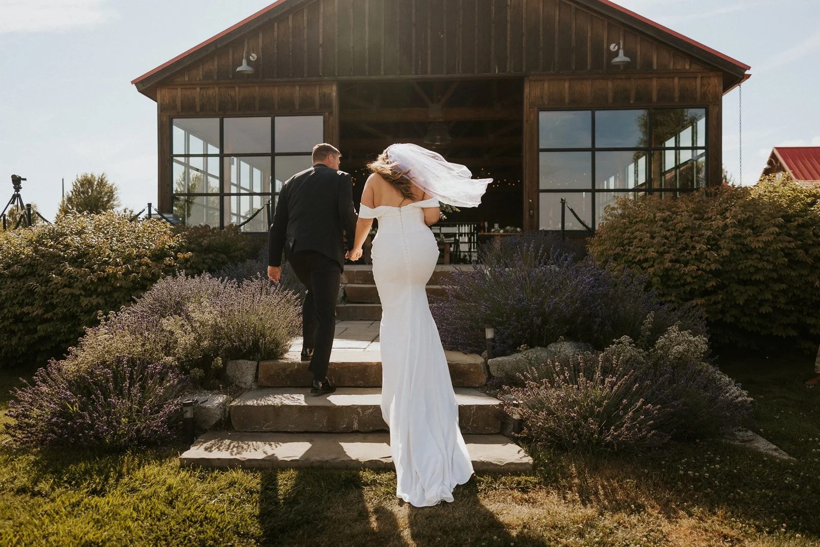 m+m_trezzifarm_dreamingkelsey-464.jpg