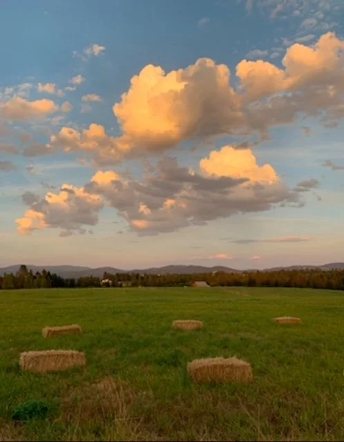 Open field with hay bales scattered across the grass, under a sky with large, fluffy clouds and a few orange hues from the setting sun.