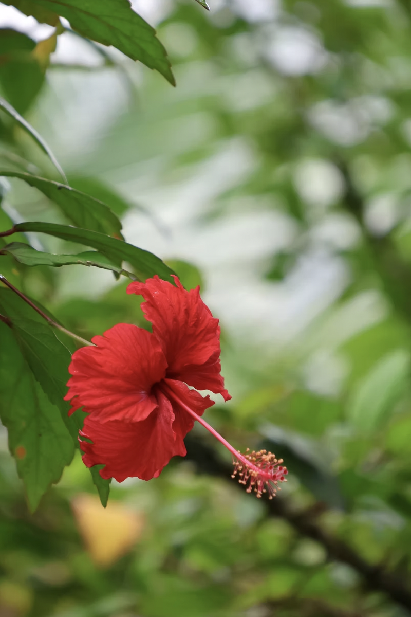 Screenshot 2025-10-23 at 9.56.39 PM.png