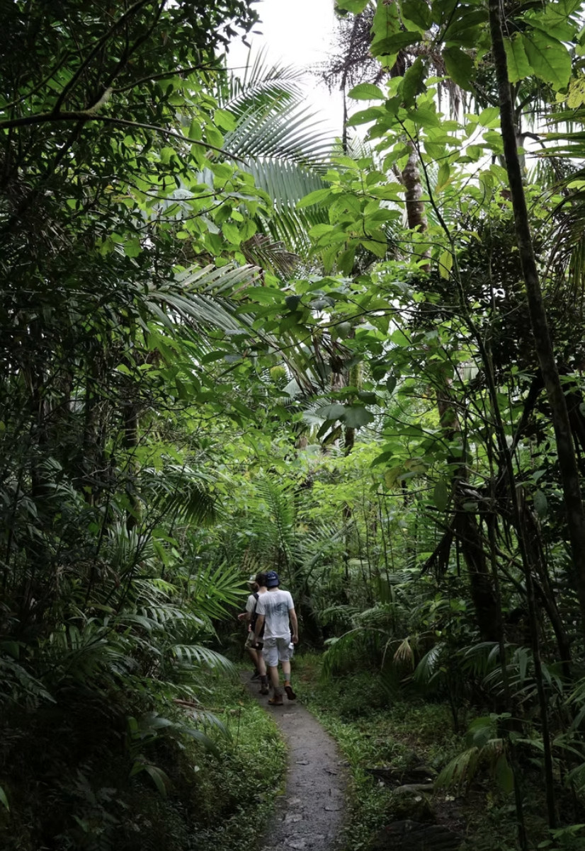 Screenshot 2025-10-23 at 9.57.01 PM.png