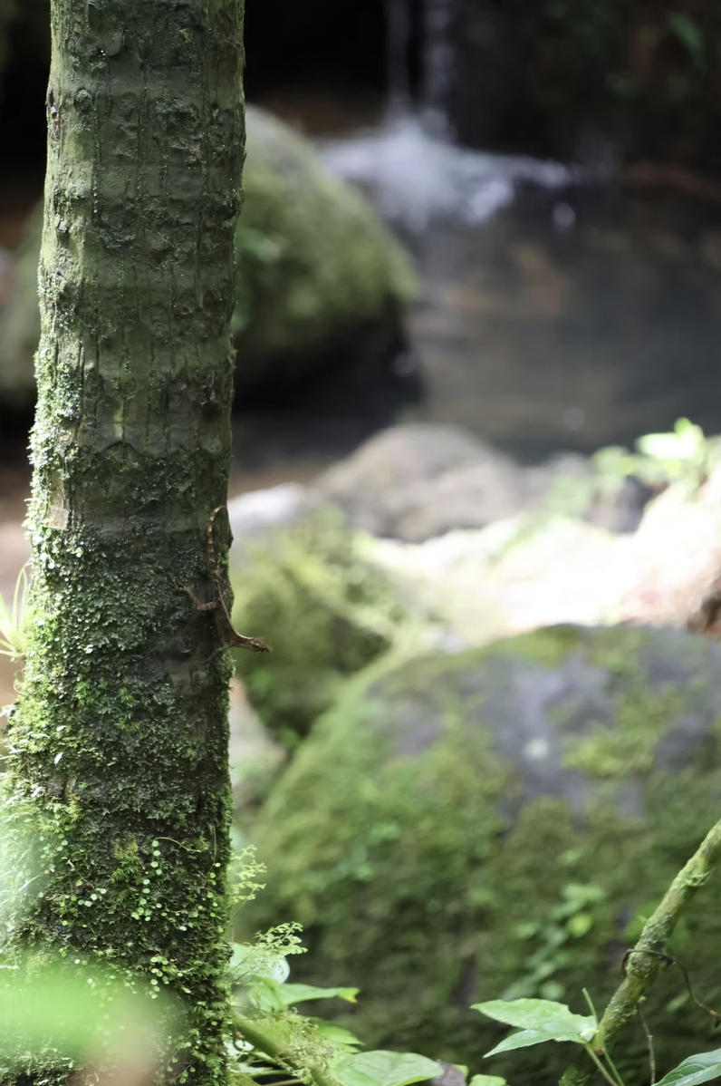 Screenshot 2025-10-23 at 9.56.07 PM.png