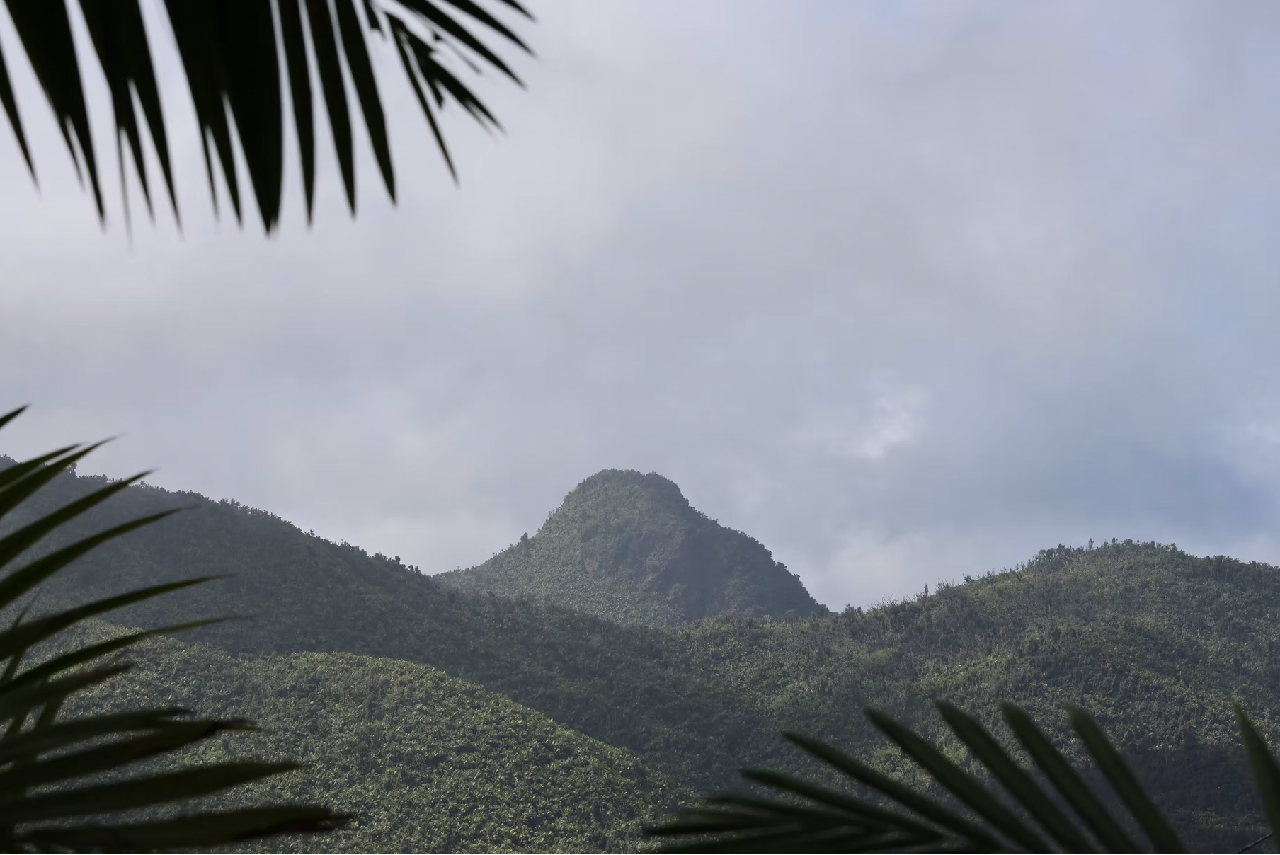 Screenshot 2025-10-23 at 9.55.44 PM.png