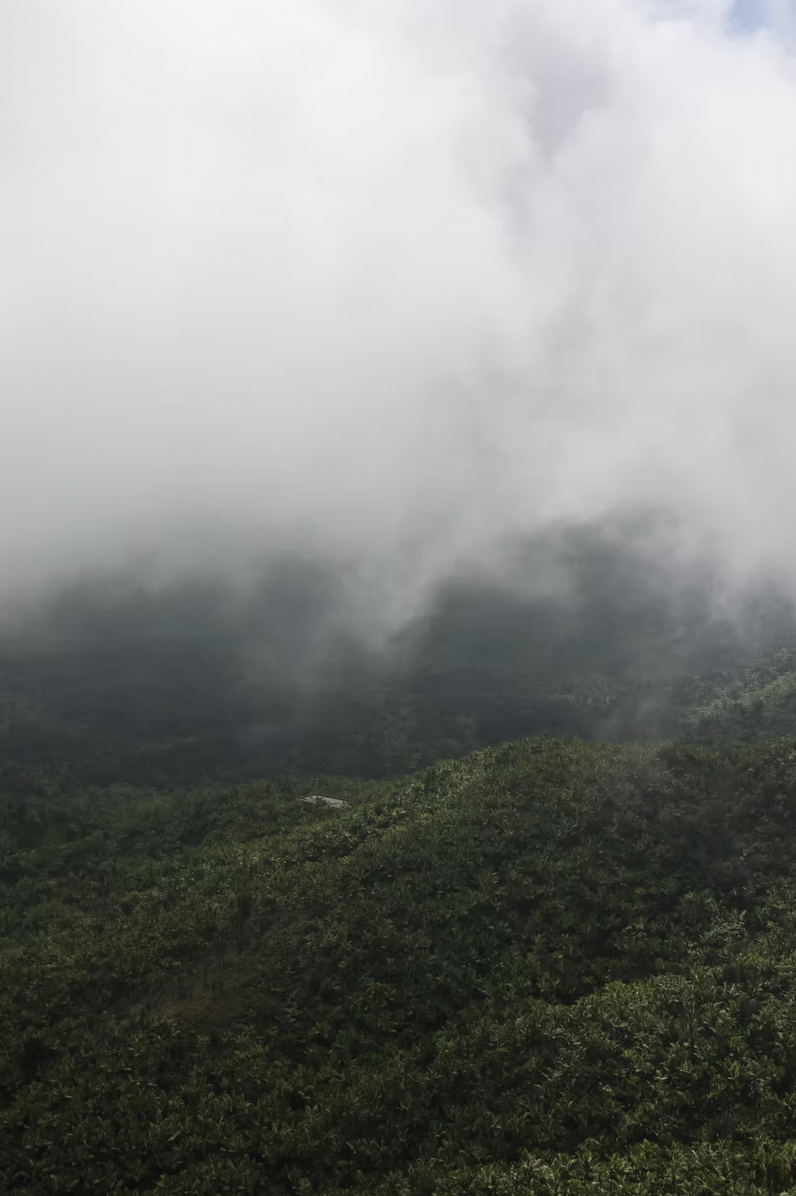 Screenshot 2025-10-23 at 9.55.49 PM.png