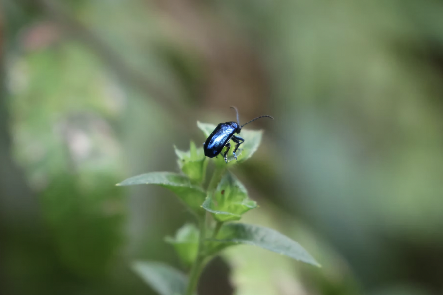 Screenshot 2025-10-23 at 9.56.32 PM.png