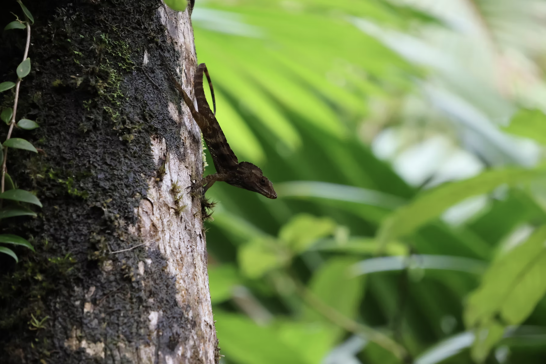 Screenshot 2025-10-23 at 9.56.28 PM.png