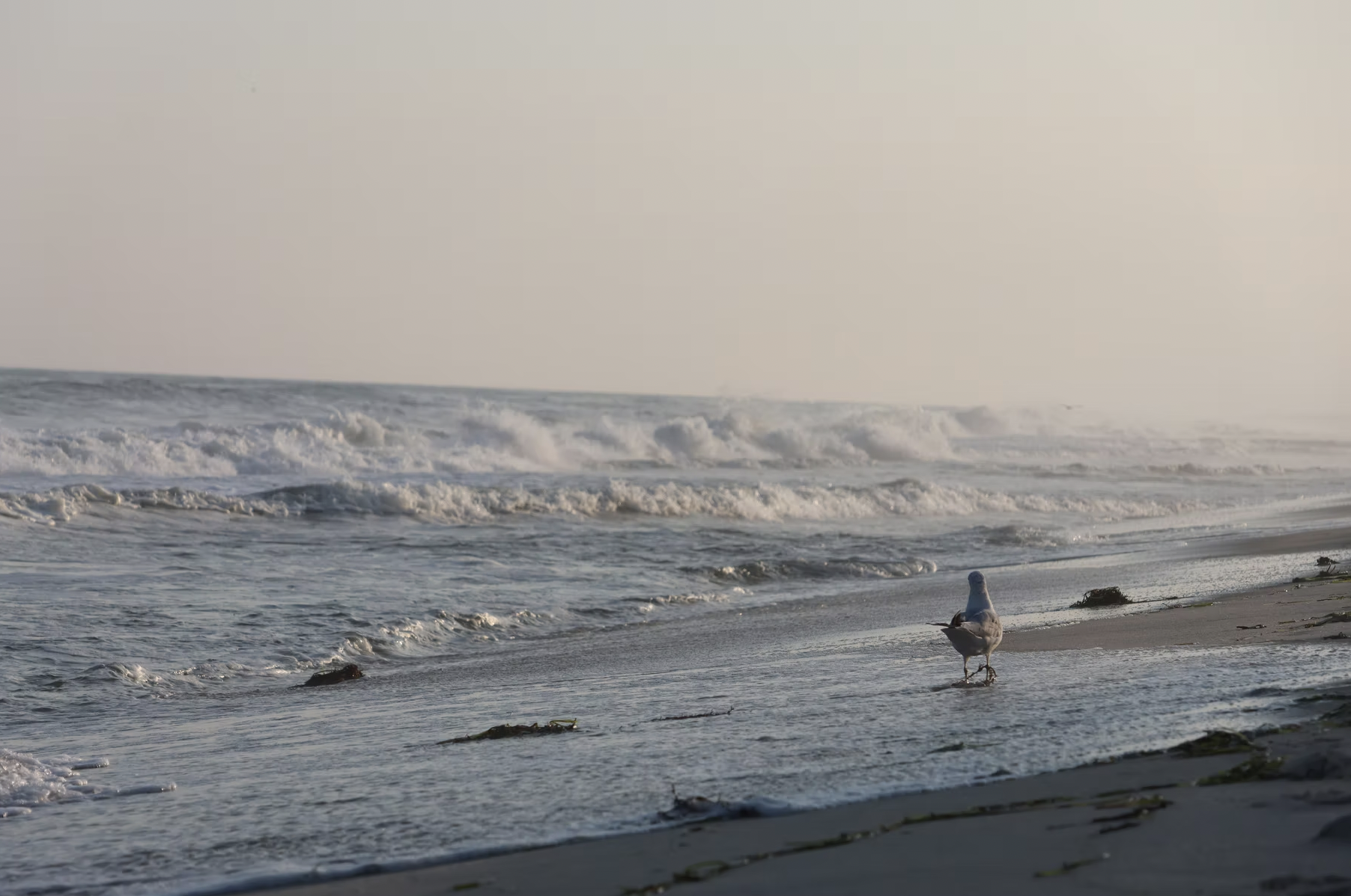 Screenshot 2025-10-23 at 9.54.25 PM.png