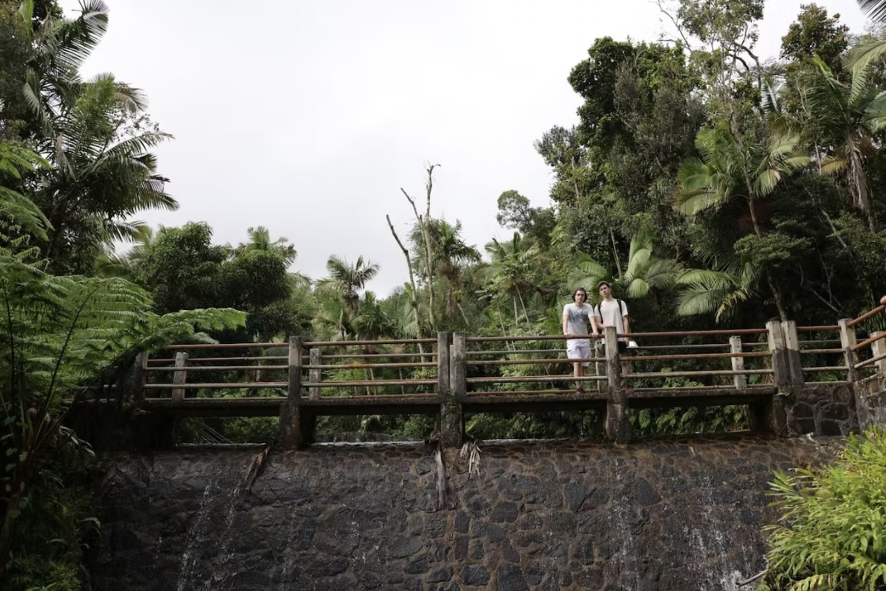 Screenshot 2025-10-23 at 9.55.36 PM.png